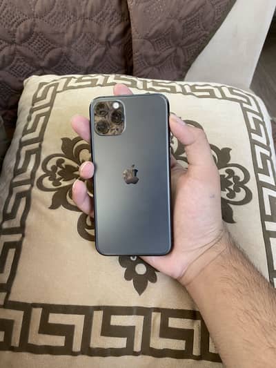 Apple iPhone 11 Pro waterpack phone