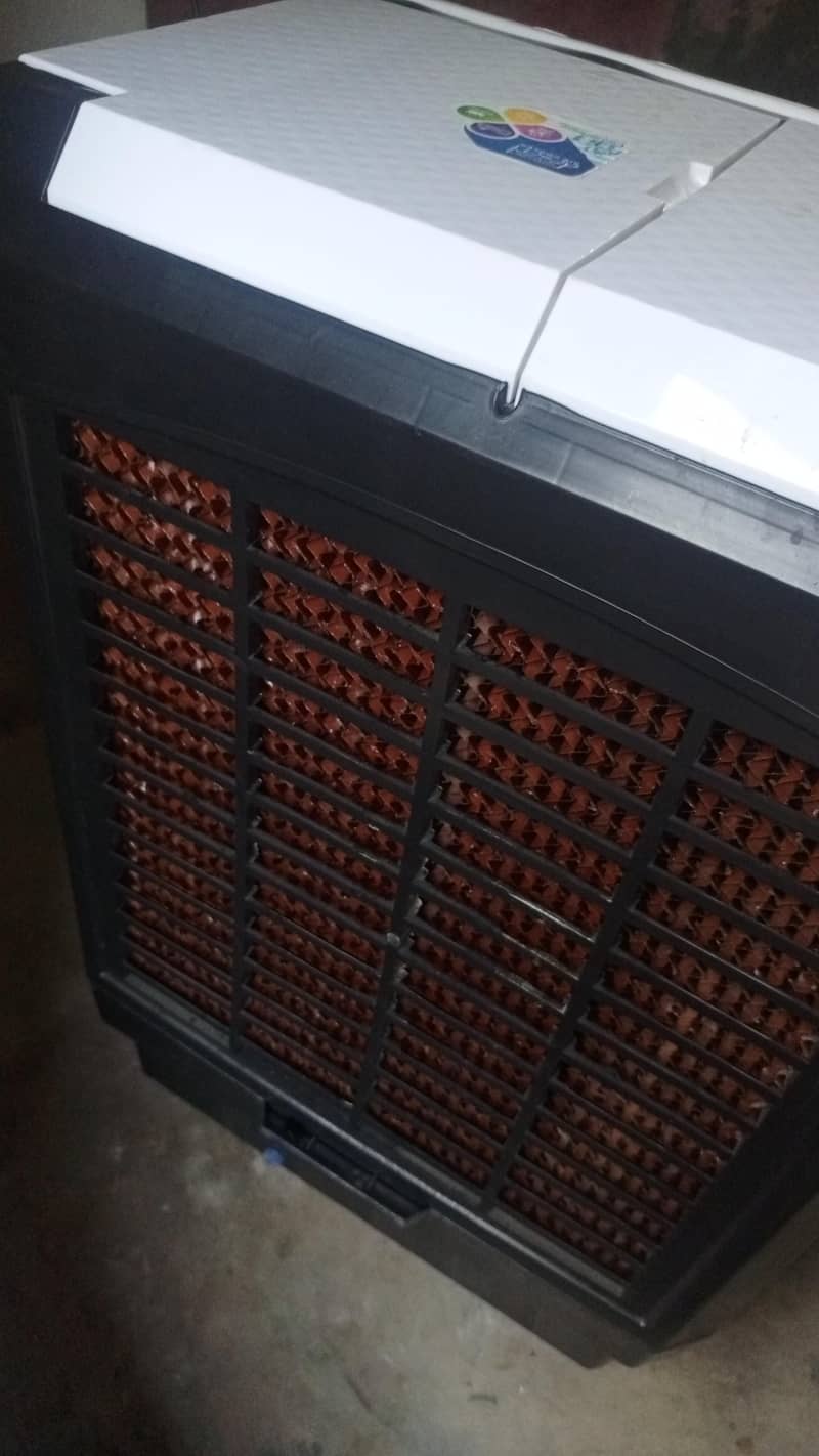 new condition 1