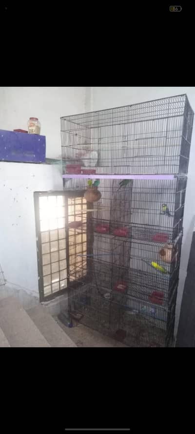parrots  cage 8 partitions