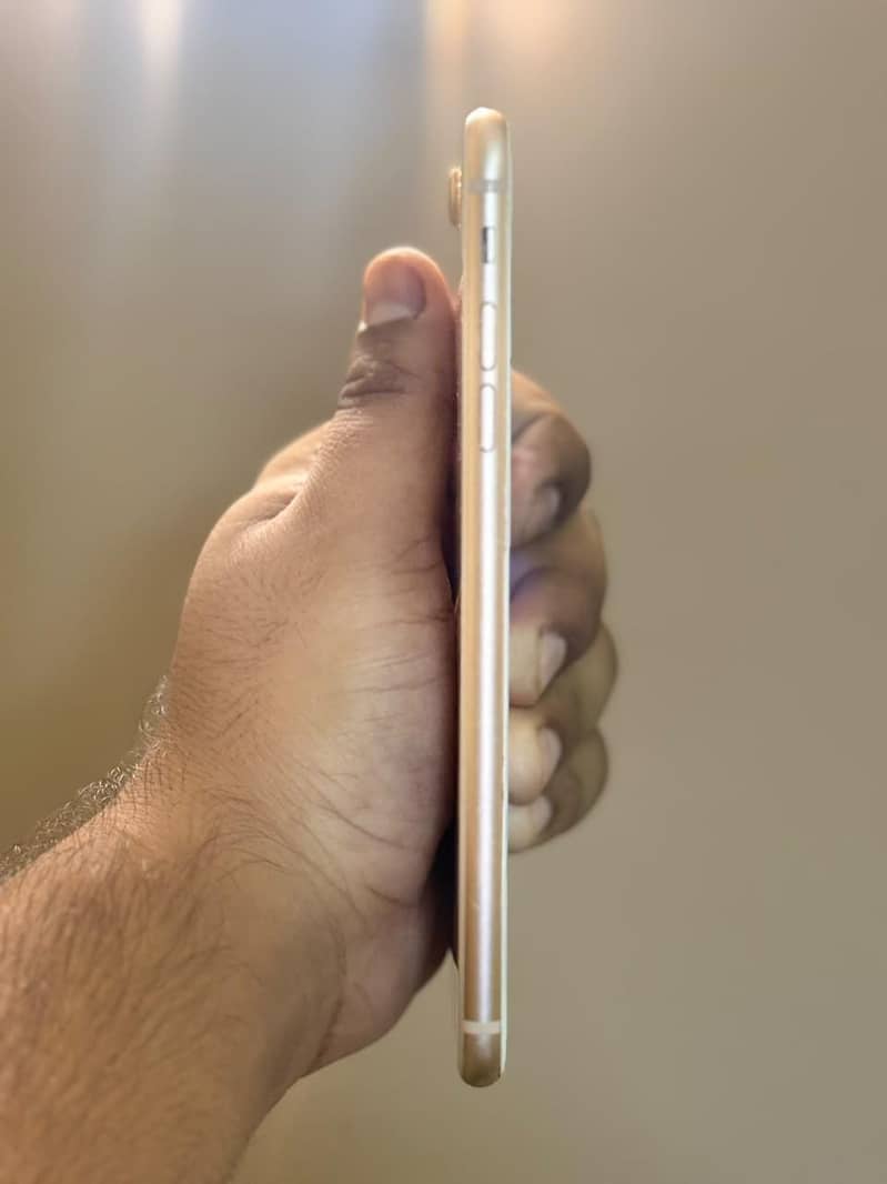 Apple iPhone 8 Plus 1