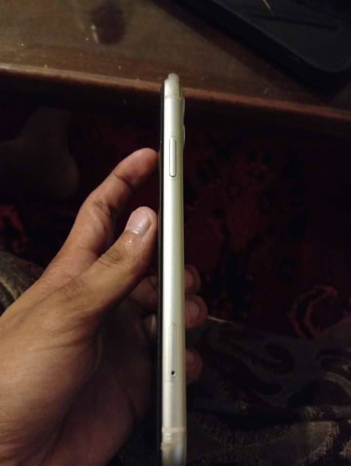 Apple iPhone 11 2
