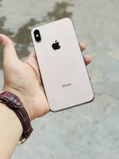 XS MAX PTA DUAL APPROVED