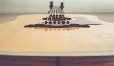 Aquatics Guitar