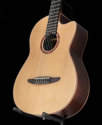 Aquatics Guitar