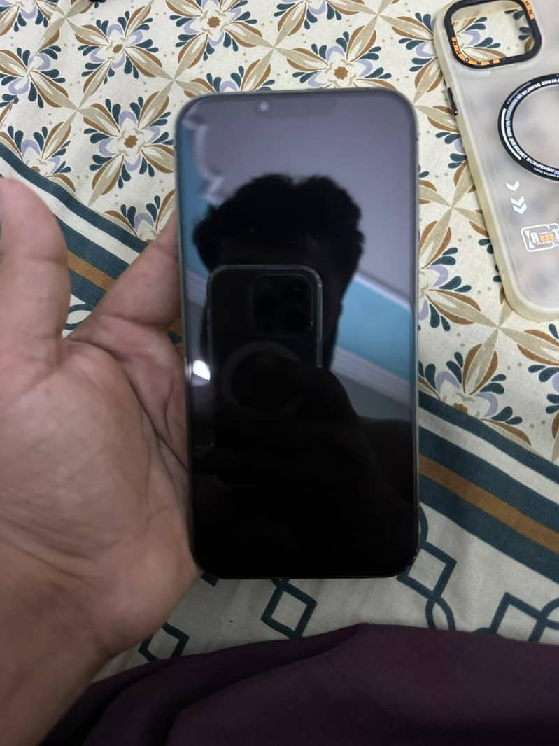 Apple iPhone 13 Pro Max 1