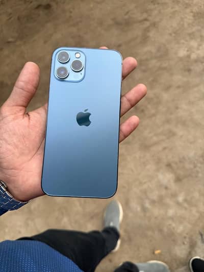 Apple iPhone 12 Pro Max