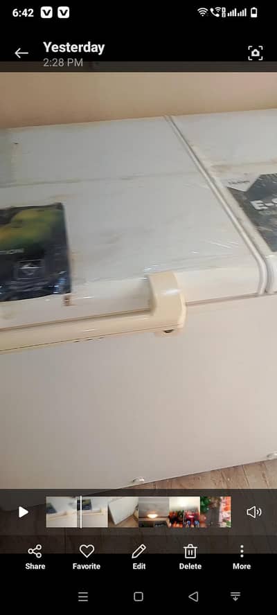 d freezer double door