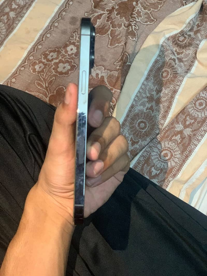 Apple iPhone 13 Pro Max 1