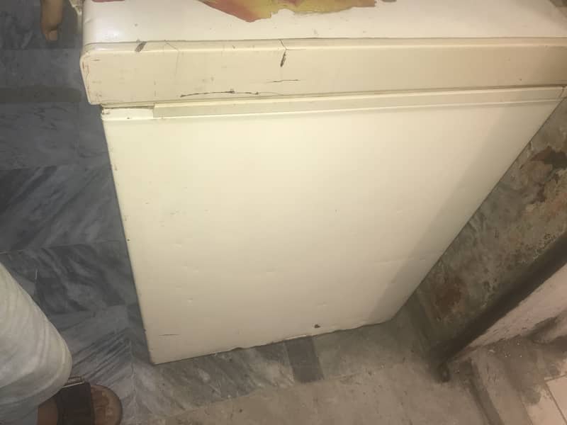 Freezer 4