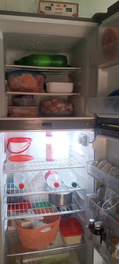 higher refrigerator for sale