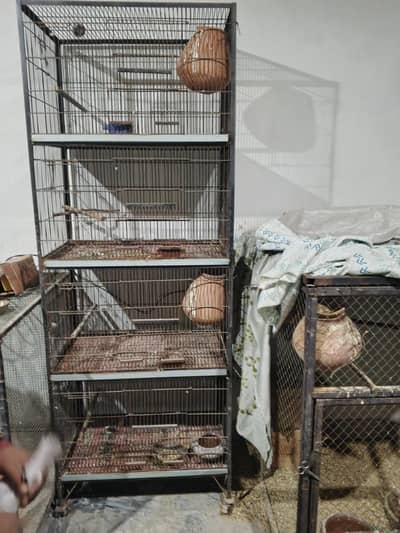 parrot cages
