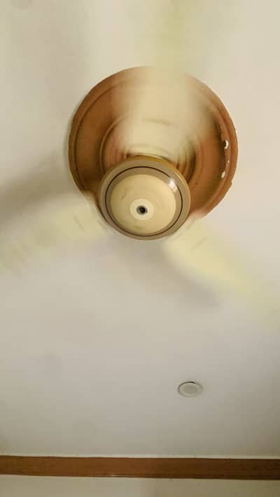 Copper winding fan