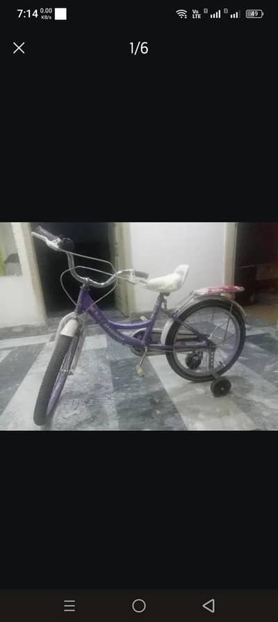 chamomile bicycle