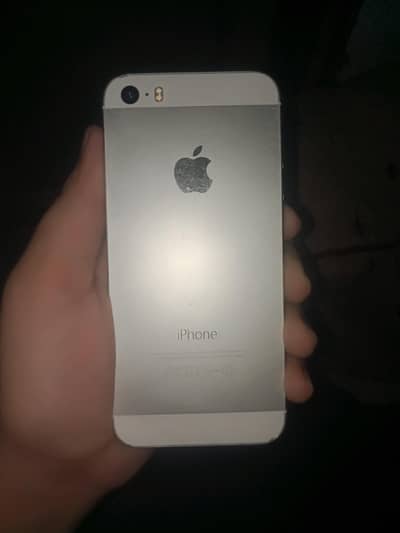 Apple iPhone 5s