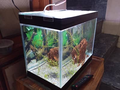 Fish Aquarium Glass Box