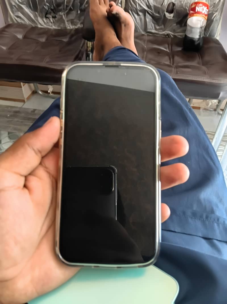 Apple iPhone 13 0