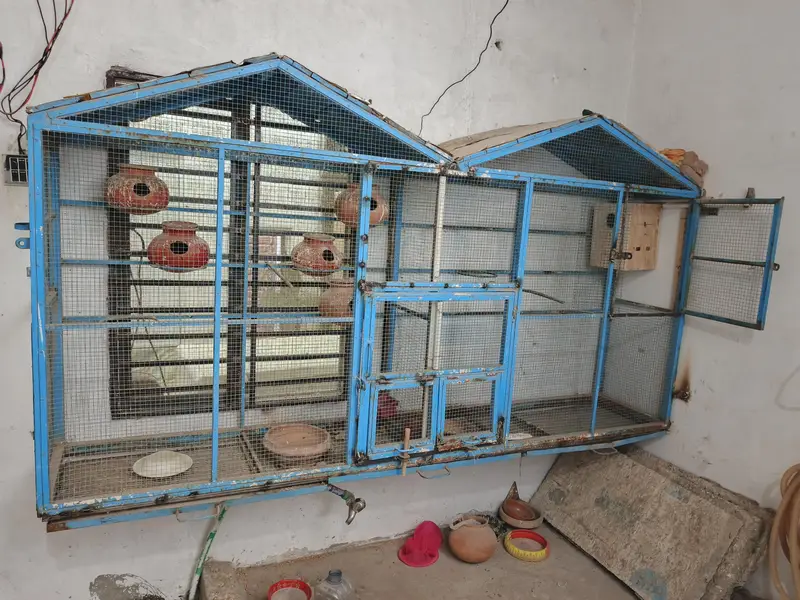 ViP cage large size