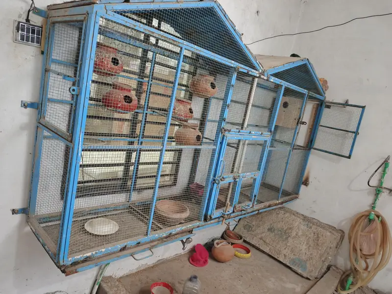 ViP cage large size — photo 2