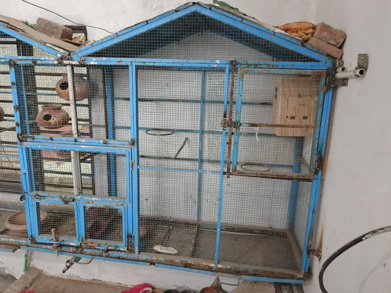 ViP cage large size — photo 4