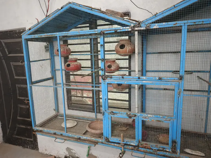 ViP cage large size — photo 5