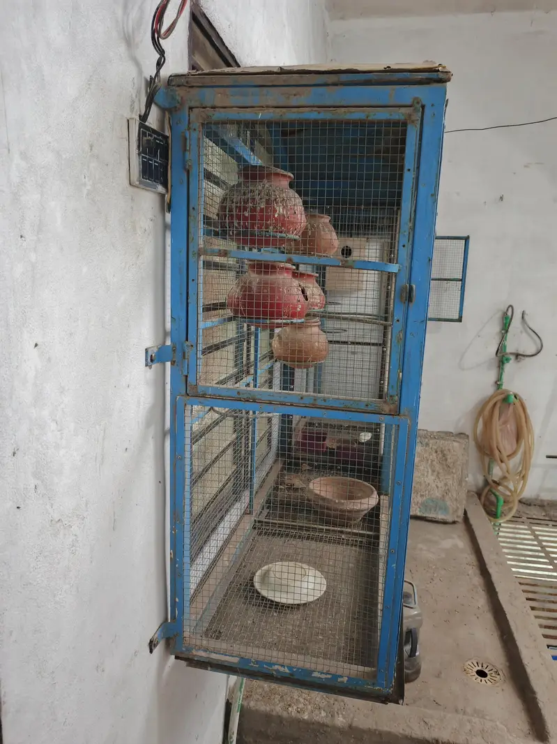 ViP cage large size — photo 6