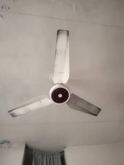 Royal Fan Pure Copper h