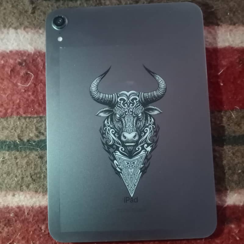 ipad mini 6 0