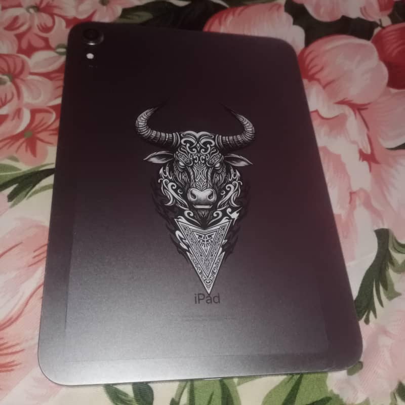 ipad mini 6 1