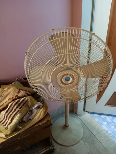 Rado pedistal fan