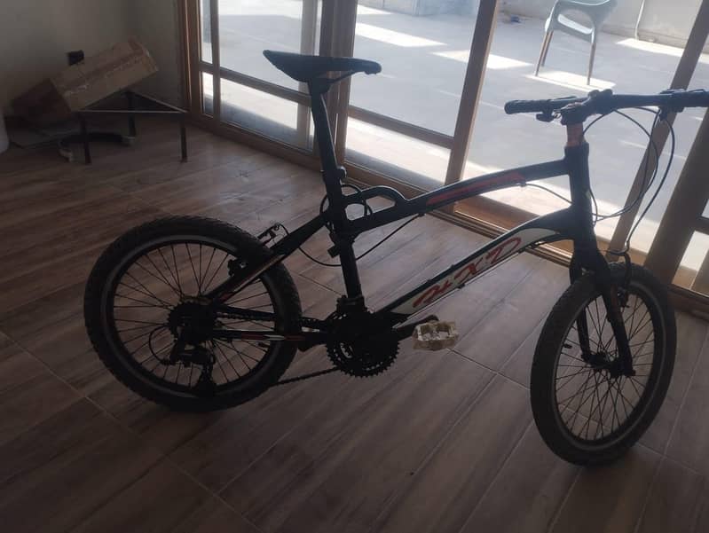 BICYCLE 6
