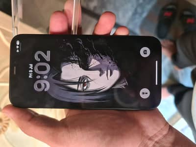 Apple iPhone 12 check bio
