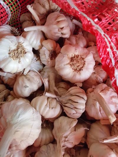 Desi lehsan super quality 1kg/70 rupees