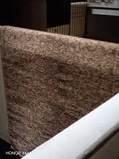 Medium to Large Brown/Fawn Carpet