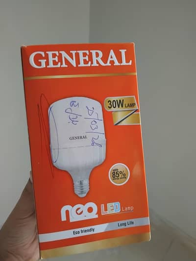 LED Light Bulb with Holder and Wire