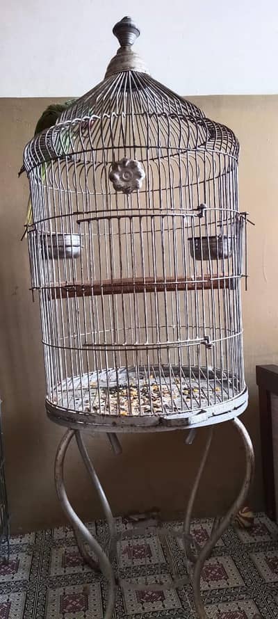 iron cage