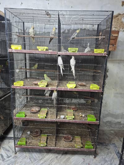 Breader Setup