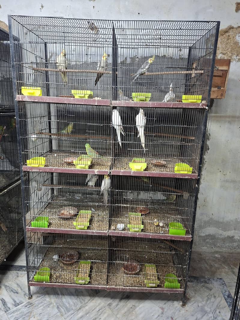 Breader Setup 0