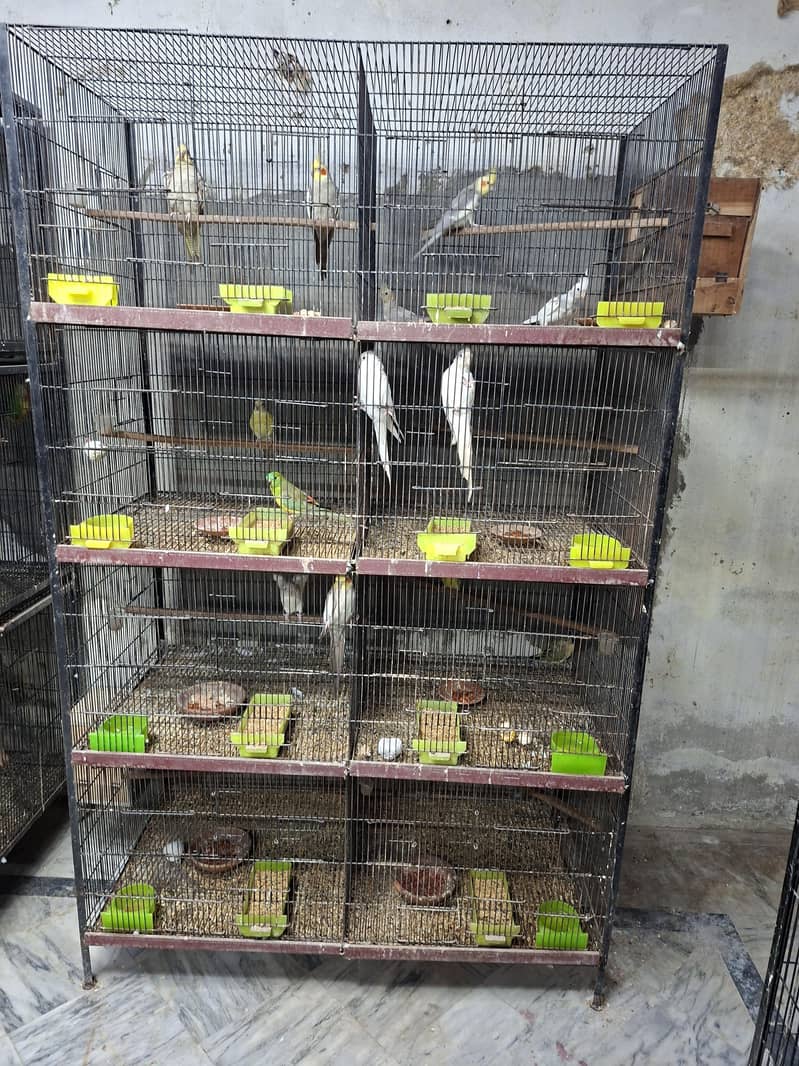 Breader Setup 1