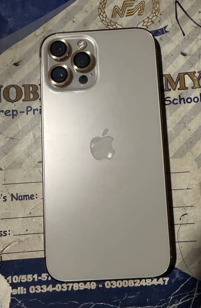 Apple iPhone 12 Pro Max