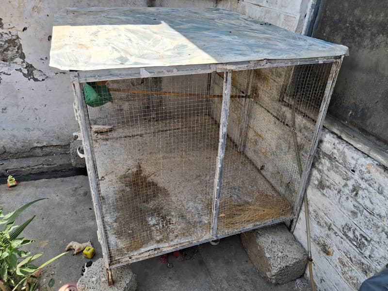 Hen cage 1
