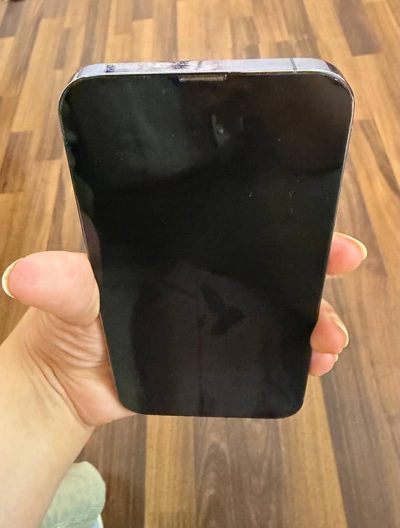 Apple iPhone 13 Pro Max 2