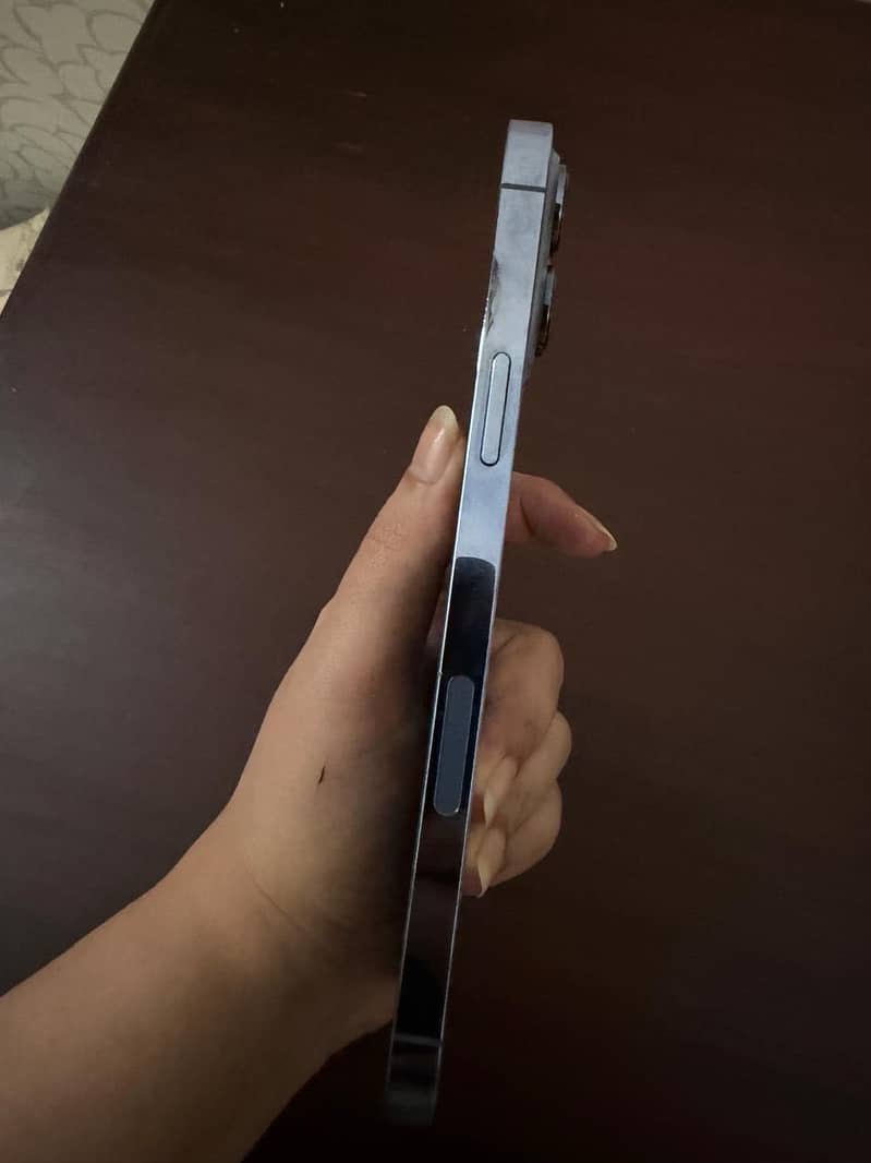 Apple iPhone 13 Pro Max 5