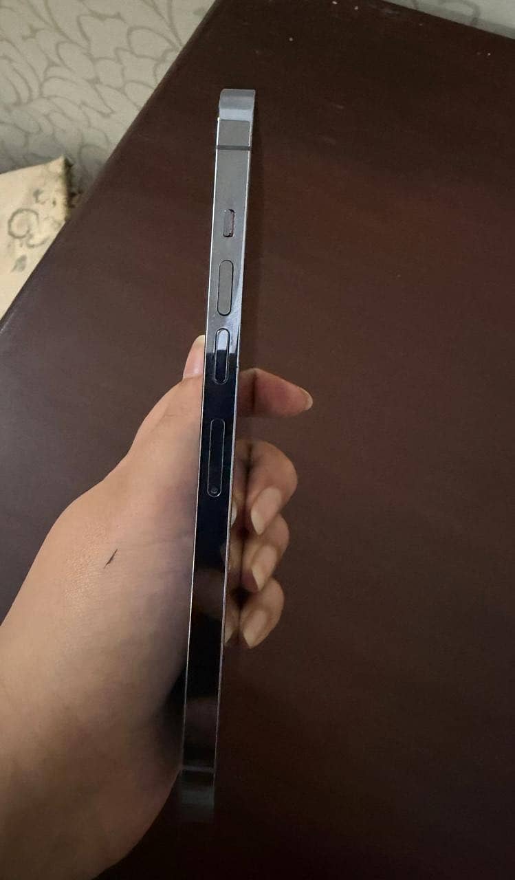 Apple iPhone 13 Pro Max 6