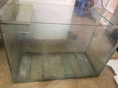3 feet aquarium