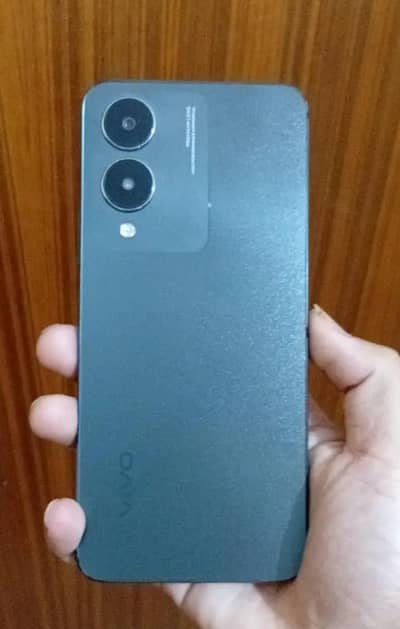 Vivo Y17