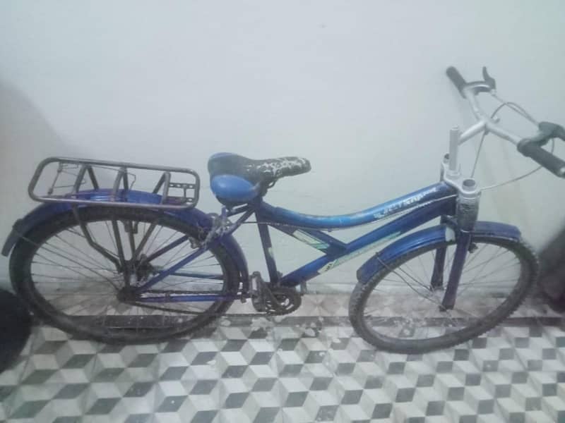 speed cycle 1