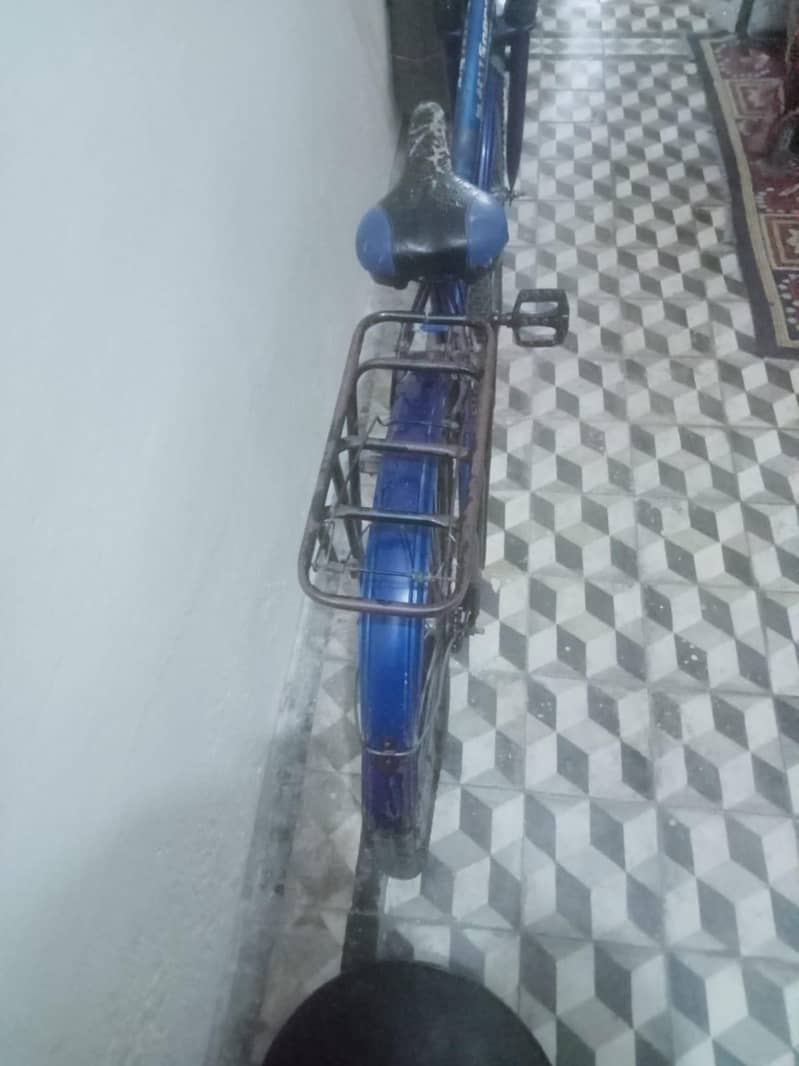 speed cycle 2
