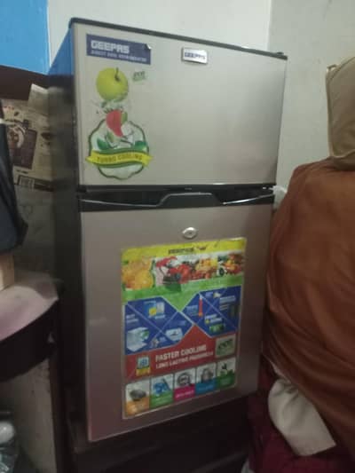 geepas mini refrigerator 2 door