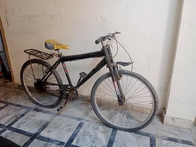 Cycle (12 - 16 Year)