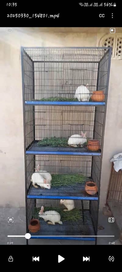4 portion bird cage available for sale